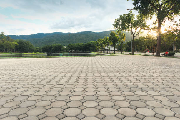 Trusted Gloverville, SC Driveway Pavers Experts